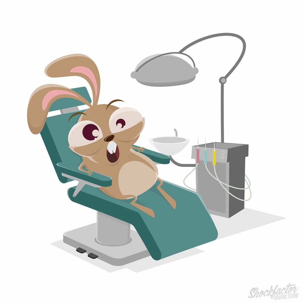 Hase beim Zahnarzt