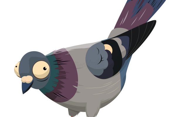 Pigeon Cartoon Funny